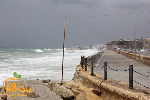 arain in yaffaj3 (4).JPG